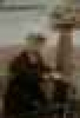  :     